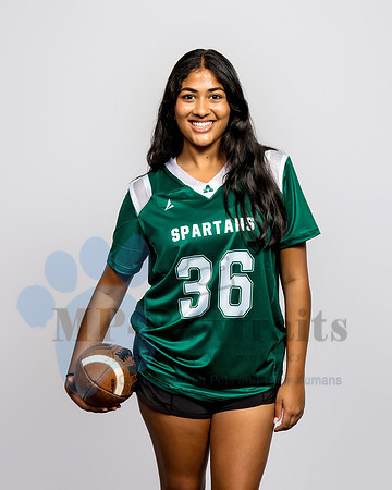 MPS_3915