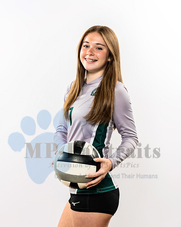 MPS_3533