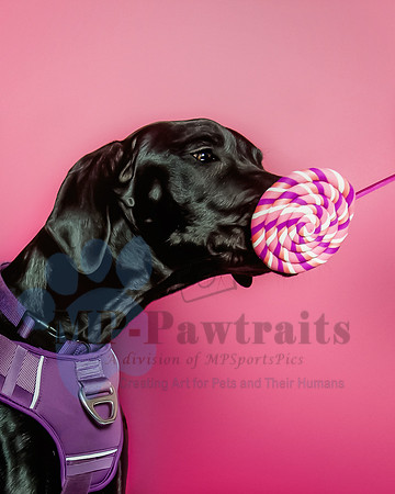 Violet Wagstaff-6539