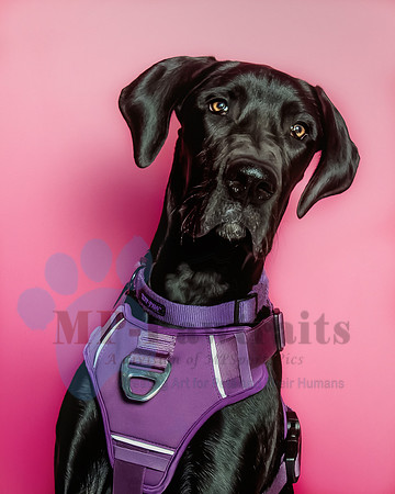 Violet Wagstaff-6551
