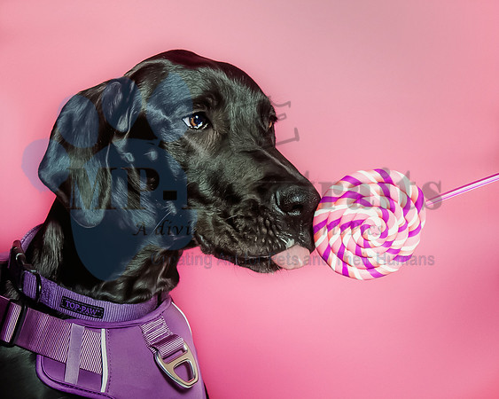 Violet Wagstaff-6557