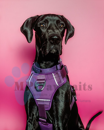 Violet Wagstaff-6553