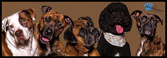 10x30-composite-with-border-copy